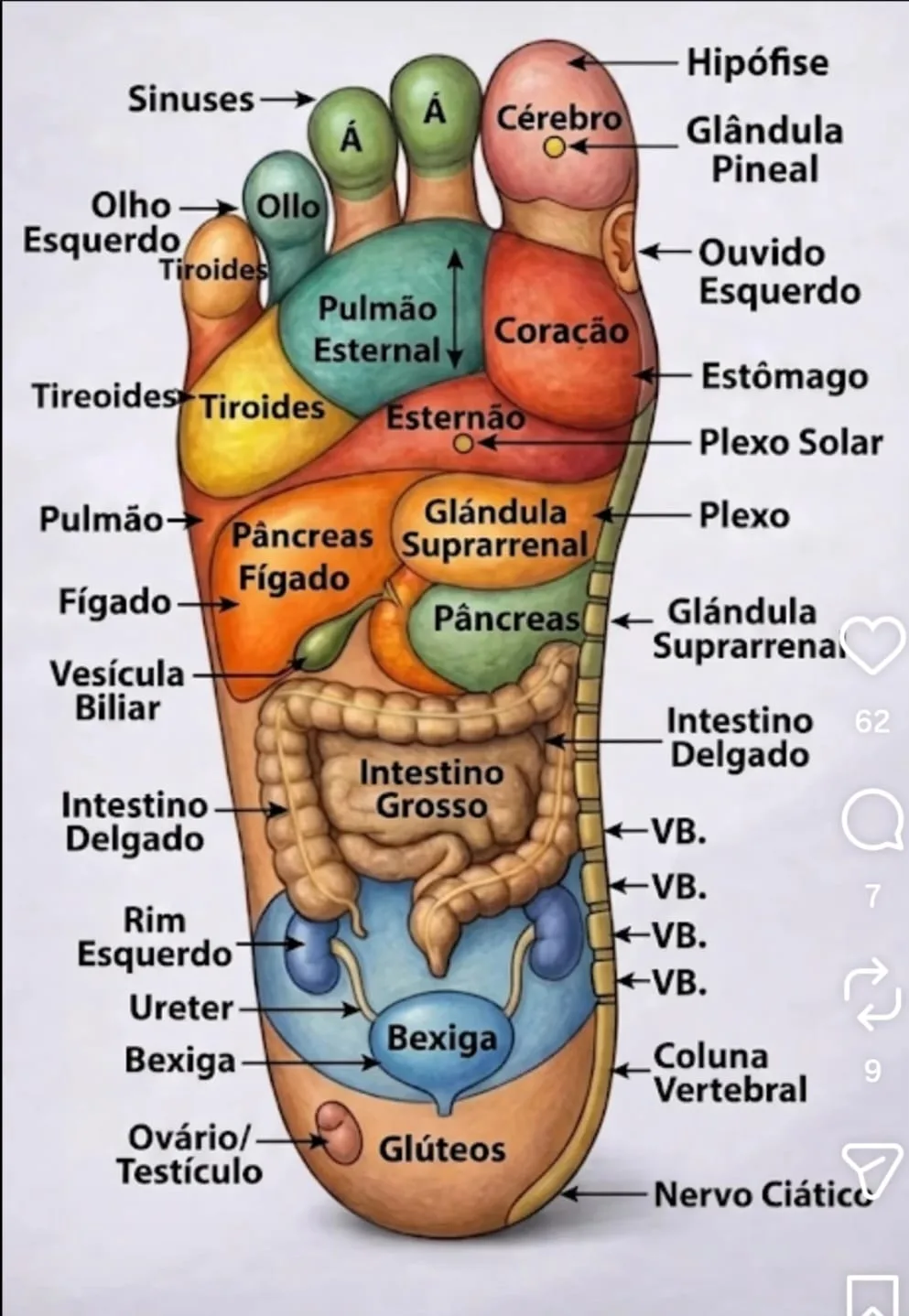 Reflexologia Podal e Massagem Terapêutica